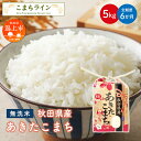 【ふるさと納税】《 定期便 》 無洗米 あきたこまち 5kg