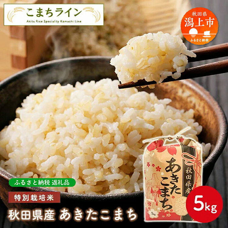 【ふるさと納税】 玄米 あきたこまち 5kg 特別栽培米 米