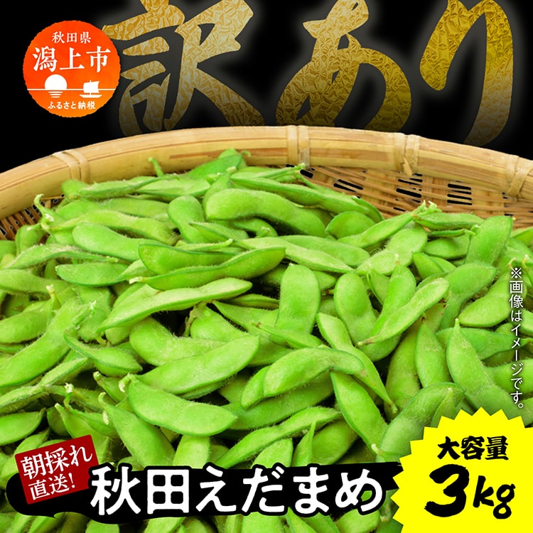 [先行予約]令和6年産 収穫日発送! 枝豆 えだまめ 訳あり 3kg × 1袋 朝獲れ クール便 発送 個包装 朝採り 野菜 夏野菜 おつまみ 晩酌 Bランク お取り寄せ グルメ 潟上市 秋田 おいしい つまみ [エスジー・ファーム]