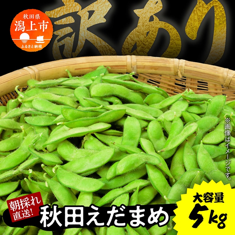 【ふるさと納税】 《先行予約》 令和6年産 収穫日発送！ 枝豆 えだまめ 5kg 訳あり 2kg 3kg × 各1袋 朝..