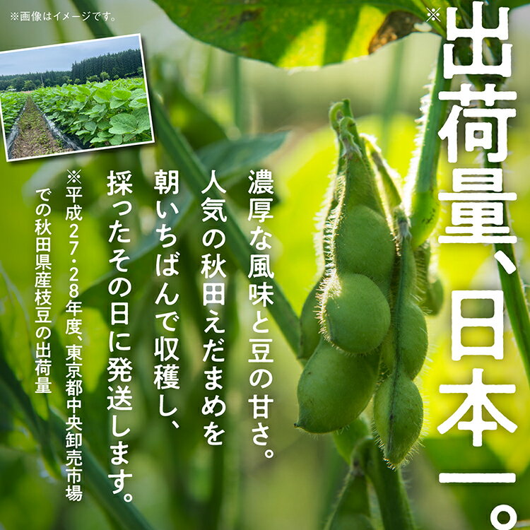 【ふるさと納税】 《先行予約》 令和6年産 収穫日発送！ 枝豆 えだまめ 5kg 訳あり 2kg 3kg × 各1袋 朝獲れ クール便 発送 個包装 朝採り 野菜 夏野菜 おつまみ 晩酌 Bランク お取り寄せ グルメ 潟上市 秋田 おいしい つまみ 【エスジー・ファーム】