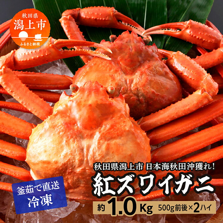 【ふるさと納税】 ズワイガニ 2匹 約 1kg 冷凍 紅ズワ