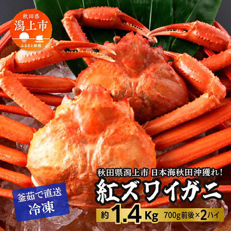 【ふるさと納税】【3月以降順次発送】 ズワイガニ 2匹 約 1.4kg 冷凍 紅ズワイガニ ベニズワイガニ ずわい ズワイ蟹 ずわいがに ずわい蟹 姿 ボイル ...