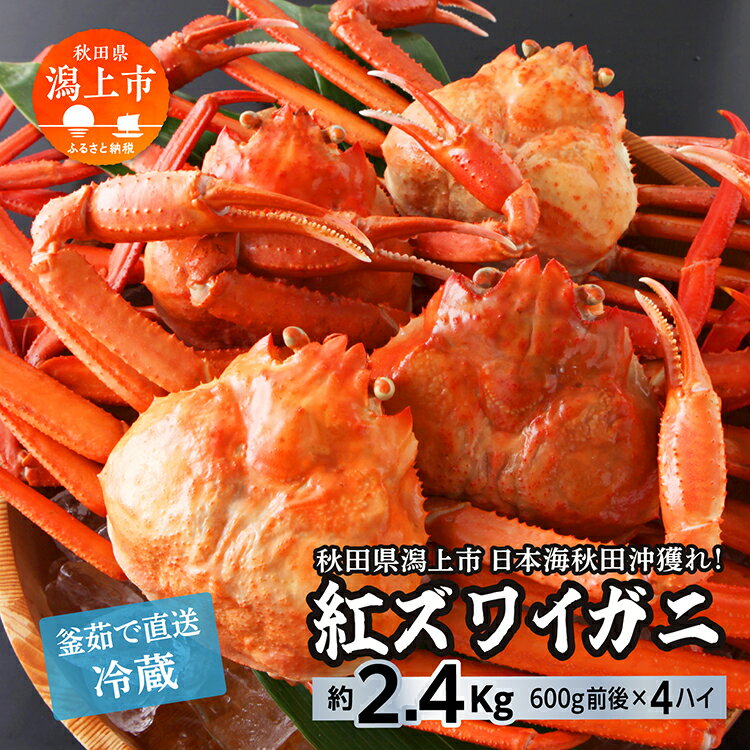 【ふるさと納税】《 冷蔵 》 ズワイガニ 4匹 約 2.4kg 紅ズワイガニ ベニズワイガニ ずわい ズワイ蟹 ...