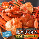 【ふるさと納税】《3月以降順次発送》《 冷蔵 》 ズワイガニ 4匹 約 2.8kg 紅ズワイガニ ベニズワイガニ ずわい ズワイ蟹 ずわいがに ずわい蟹 姿 ボイル 訳あり 蟹 カニ かに 国産 蟹 不揃い 傷 緊急 カニみそ入り 潟上市 【安田水産】