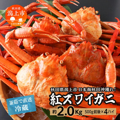 楽天ふるさと納税　【ふるさと納税】《 冷蔵 》 ズワイガニ 4匹 約 2kg 紅ズワイガニ ベニズワイガニ ずわい ズワイ蟹 ずわいがに ずわい蟹 姿 ボイル 訳あり 蟹 カニ かに 国産 蟹 不揃い 傷 緊急 カニみそ入り秋田 潟上市 【安田水産】