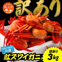 【ふるさと納税】《 冷蔵 》 訳あり ズワイガニ 約 3kg 紅ズワイガニ ベニズワイガニ ずわい  ...