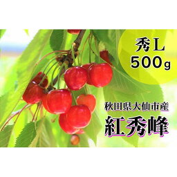 【ふるさと納税】「さくらんぼ（紅秀峰）Lサイズ約500g」重郎左衛門農園　※九州、沖縄、一部離島への配送不可