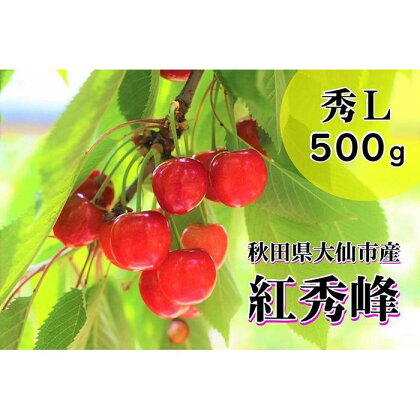 「さくらんぼ（紅秀峰）Lサイズ約500g」重郎左衛門農園　※九州、沖縄、一部離島への配送不可