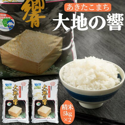 令和5年産 「特別栽培米あきたこまち　大地の響　精米10kg」秋山商店