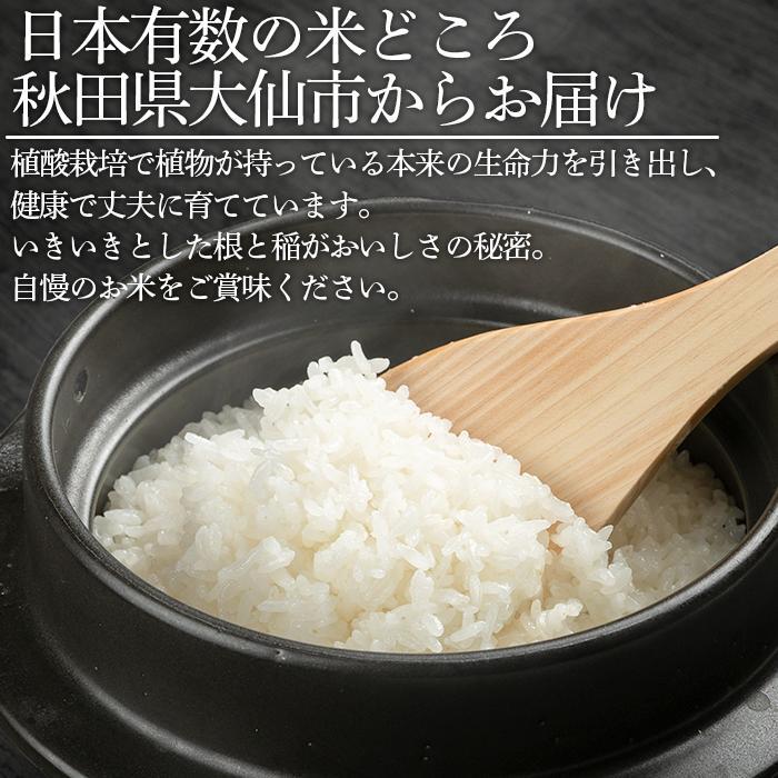 【ふるさと納税】令和5年産 「特別栽培米あきたこまち　大地の響　精米10kg」秋山商店