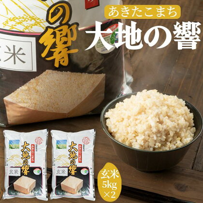 令和5年産 「特別栽培米あきたこまち　大地の響　玄米10kg」秋山商店