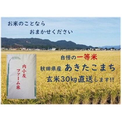 令和5年産 秋田県産あきたこまち 一等米 農家直送 玄米30kg | お米 こめ 食品 人気 おすすめ 送料無料