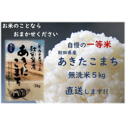 令和5年産 秋田県産あきたこまち 一等米 農家直送 無洗米5kg | お米 こめ 白米 食品 人気 おすすめ 送料無料