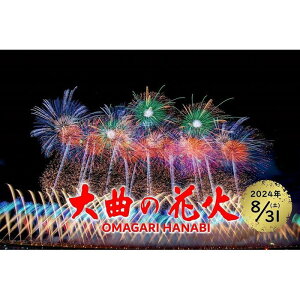 【ふるさと納税】第96回全国花火競技大会「大曲の花火」 有料観覧席／イス席1名 | 券 人気 おすすめ 送料無料