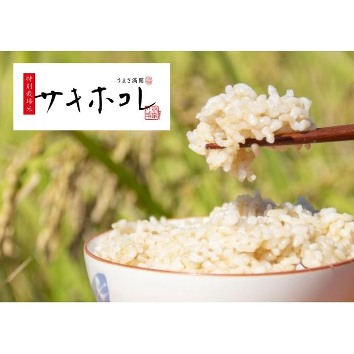 玄米『令和5年産特栽米サキホコレ』5kg | お米 こめ 食品 人気 おすすめ 送料無料