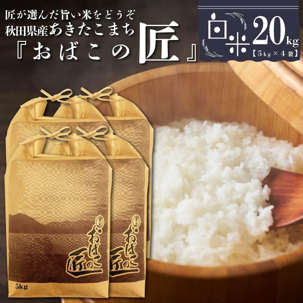 【ふるさと納税】※令和6年産 新米予約※ 秋田県産おばこの匠