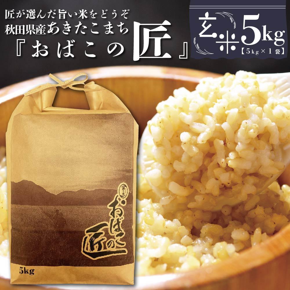 【ふるさと納税】秋田県産おばこの匠あきたこまち　5kg （5kg×1袋）玄米【令和5年産】