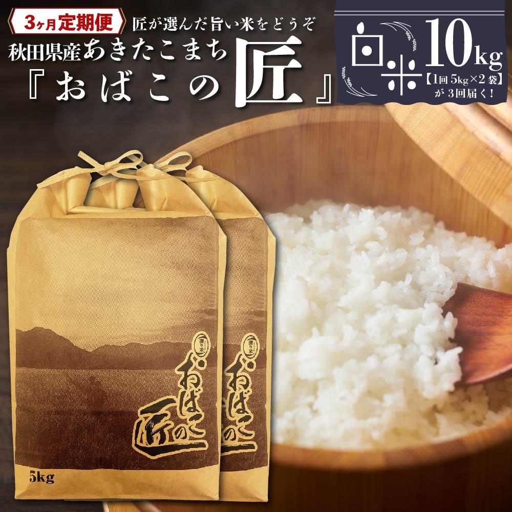 【ふるさと納税】※令和6年産 新米予約※ 【3ヶ月定期便】秋田県産おばこの匠あきたこまち　10kg （5kg×2袋）白米