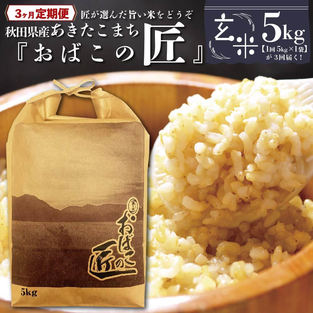 【ふるさと納税】【3ヶ月定期便】秋田県産おばこの匠あきたこまち　5kg （5kg×1袋）玄米