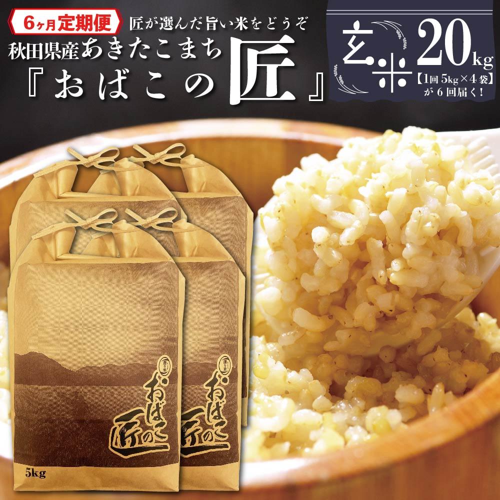 【ふるさと納税】※令和6年産 新米予約※ 【6ヶ月定期便】秋田県産おばこの匠あきたこまち　20kg （5kg×...