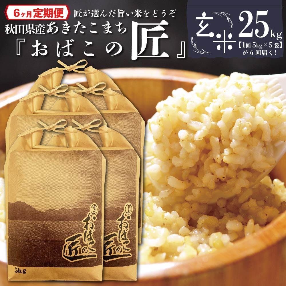 【ふるさと納税】【6ヶ月定期便】秋田県産おばこの匠あきたこまち　25kg （5kg×5袋）玄米