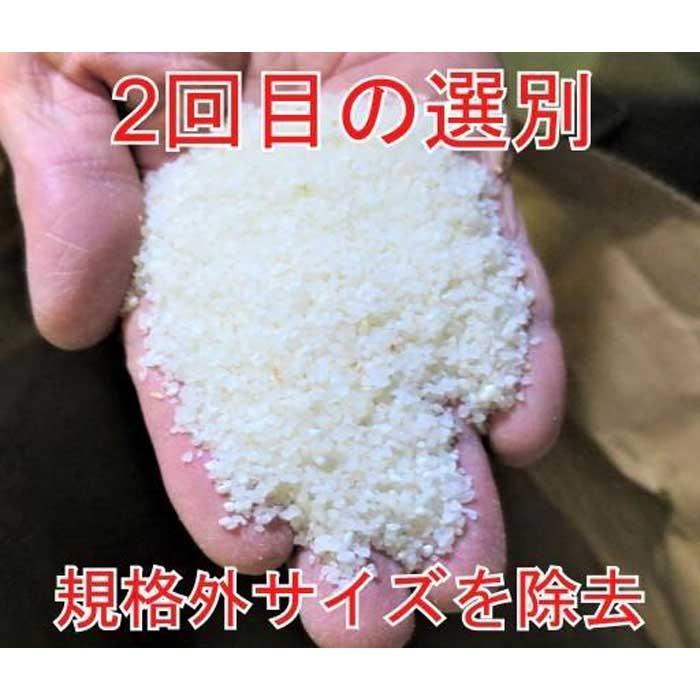 【ふるさと納税】25kg（5kg×5）大手有名百貨店出荷米 あきたこまち 令和5年産米 | お米 こめ 白米 食品 人気 おすすめ 送料無料