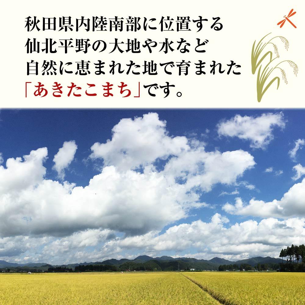 【ふるさと納税】【3ヶ月定期便】秋田県産おばこの匠あきたこまち　2kg （2kg×1袋）玄米