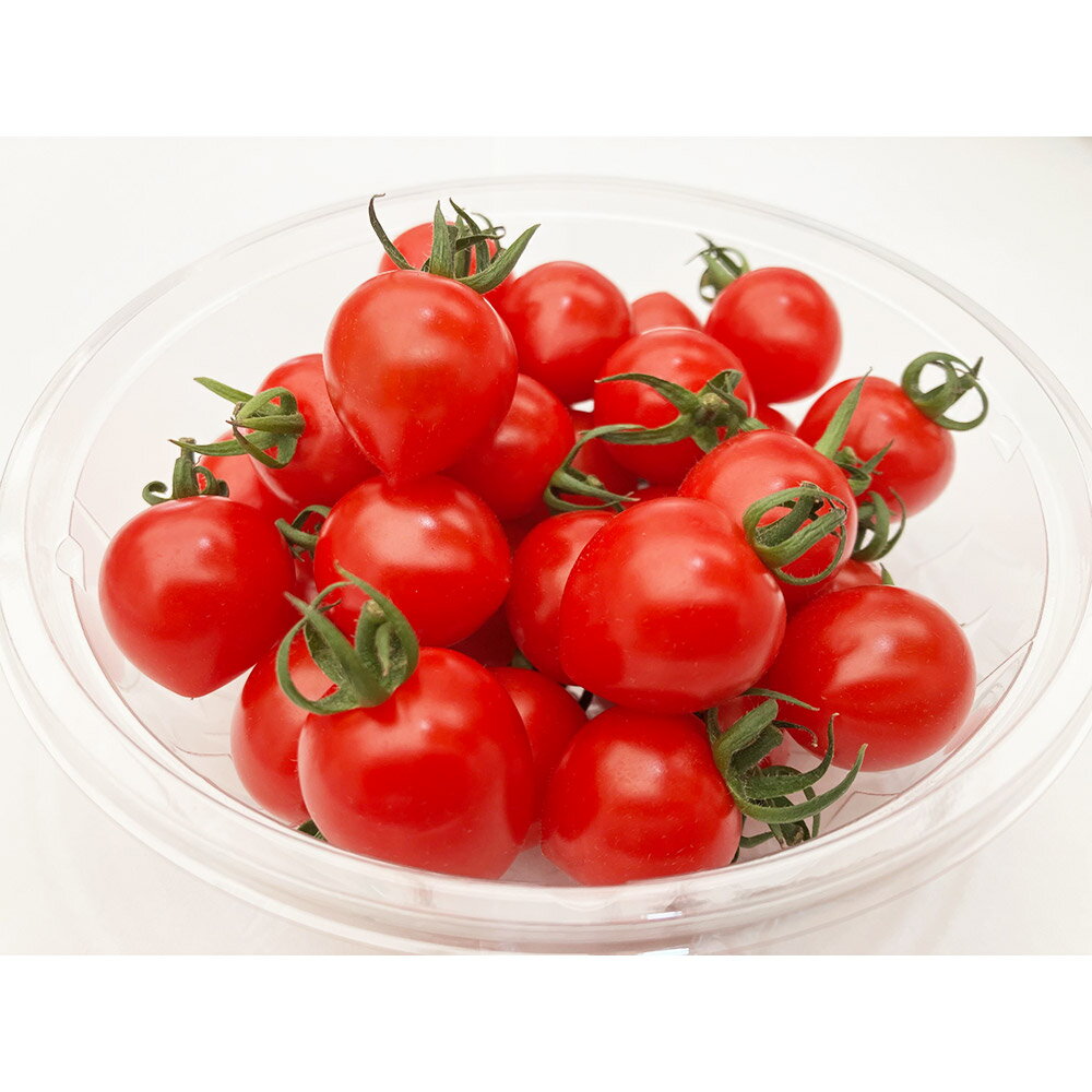 【ふるさと納税】秋田県産ミニトマト「恋ベリー」1kg（250g×4）ギフトBOX 高糖度 とまと 野菜 新鮮 甘い