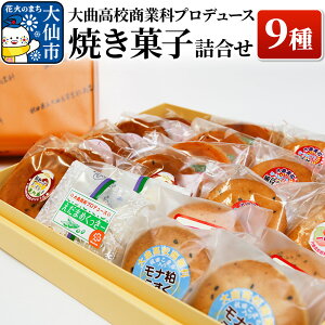 【ふるさと納税】大曲高校商業科がプロデュースした オリジナル 焼き菓子詰め合わせ 9種