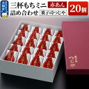 【ふるさと納税】三杯もちミニ(赤あん) 20個 詰め合わせ 【菓子司つじや】