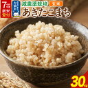 【ふるさと納税】《令和7年産 新米受付》減農薬栽培 あきたこまち 100%【玄米】30kg