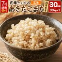 【ふるさと納税】《令和7年産 新米受付》令和7年 秋田県大仙市産 武藤さんちのあきたこまち【玄米】30kg