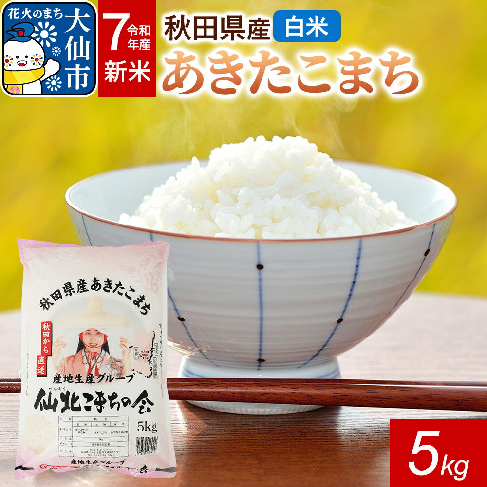 【ふるさと納税】新米