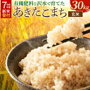 【ふるさと納税】《令和7年産 新米受付》令和7年 秋田県大仙市産 有機肥料と沢水で育てた あきたこまち【玄米】30kg