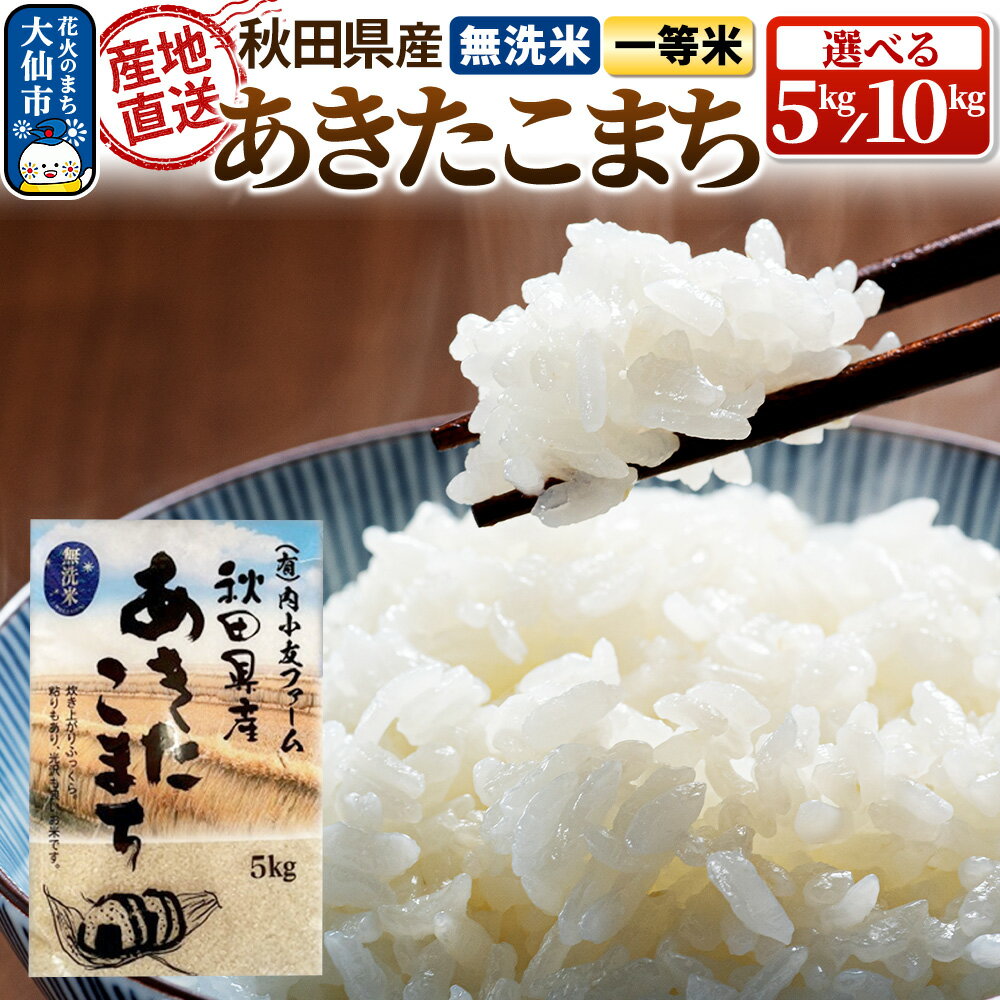 【ふるさと納税】令和6年産 秋田県産あきたこまち 農家直送 【無洗米】［5kg／10kg］内小友ファームのサムネイル