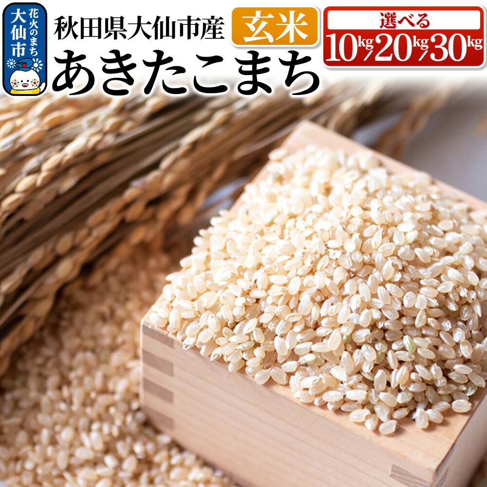 【ふるさと納税】新米