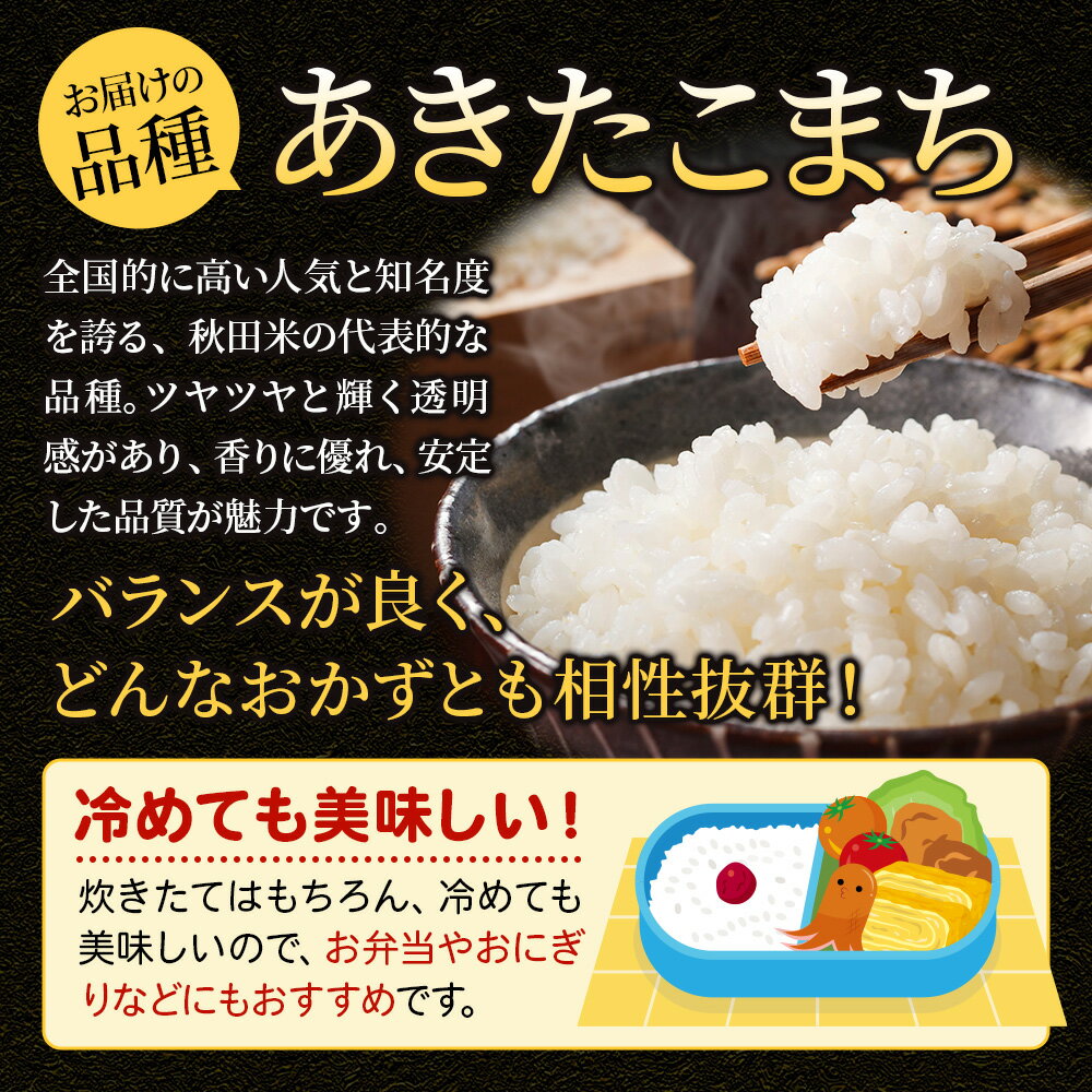 【ふるさと納税】新米 令和7年産 米 米どころ秋田県大仙市産 あきたこまち 精米【選べる白米・無洗米×容量×お届け回数】