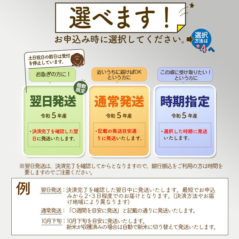 【ふるさと納税】秋田県産 あきたこまち 4kg【無洗米】(2kg小分け袋)【1回のみお届け】令和5年産 お届け時期選べる お米 おおもり 令和6年産 新米予約