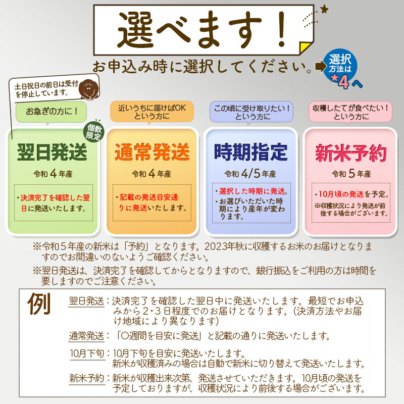 【ふるさと納税】 ★翌日発送あり★ 【白米】 秋田県産 あきたこまち 5kg (5kg×1袋) 令和3年産 お届け時期選べる新米 令和4年 一等米 5キロ お米 配送時期選べる