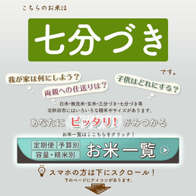 【ふるさと納税】《定期便10ヶ月》秋田県産 あきたこまち 10kg【7分づき】(2kg小分け袋) 令和5年産 発送時期が選べる 隔月お届けOK お米 おおもり 令和6年産 新米予約 3