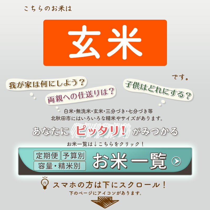 【ふるさと納税】《定期便10ヶ月》秋田県産 あ...の紹介画像3