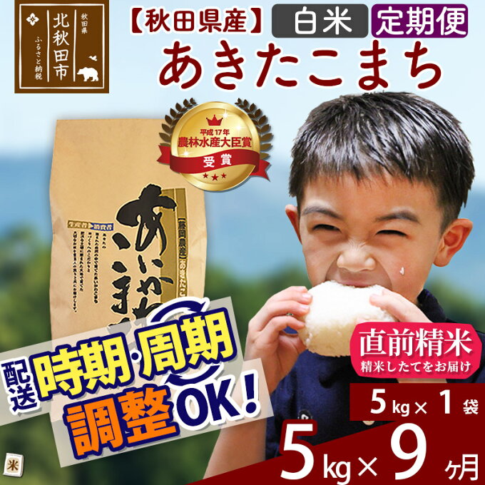 【ふるさと納税】 《定期便9ヶ月》 秋田県産 合川地区限定 あきたこまち 5kg(5...