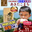 【ふるさと納税】 《定期便11ヶ月》 【無洗米】 秋田県産 合川地区限定 あきたこまち 5kg(5kg×1袋)×11回 あいかわこまち 農家直送 一等米 11か月 11ヵ月 11カ月 11ケ月 お米