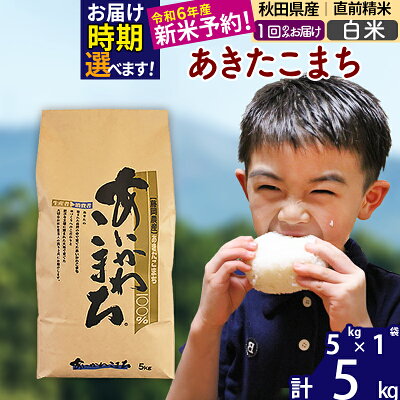 楽天ふるさと納税　【ふるさと納税】※令和6年産 新米予約※秋田県産 あきたこまち 5kg【白米】(5kg小分け袋) 【1回のみお届け】2024年産 お米 藤岡農産