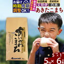 人気ランキング第3位「秋田県北秋田市」口コミ数「45件」評価「4.82」※令和6年産 新米予約※《定期便6ヶ月》秋田県産 あきたこまち 5kg【白米】(5kg小分け袋) 2024年産 お届け周期調整可能 隔月に調整OK お米 藤岡農産