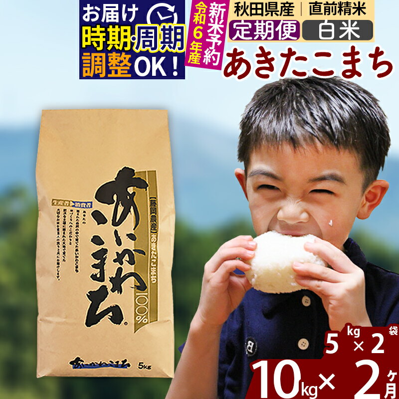 【ふるさと納税】※令和6年産 新米予約※《定期便2ヶ月》秋田県産 あきたこまち 10kg【白米】(5kg小分け袋) 2024年産 お届け周期調整可能 隔月に調整OK お米 藤岡農産