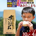 【ふるさと納税】※令和6年産 新米予約※《定期便4ヶ月》秋田