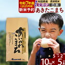 【ふるさと納税】※令和6年産 新米予約※《定期便5ヶ月》秋田