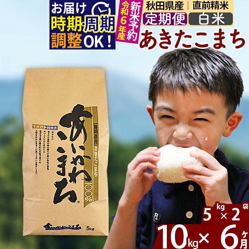 22位! 口コミ数「4件」評価「5」※令和6年産 新米予約※《定期便6ヶ月》秋田県産 あきたこまち 10kg【白米】(5kg小分け袋) 2024年産 お届け周期調整可能 隔月に･･･ 